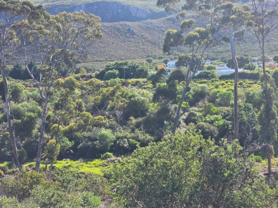 Commercial Property for Sale in Onrus Western Cape